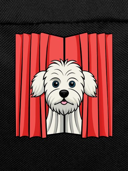 Shy Maltese Peeking from Curtain