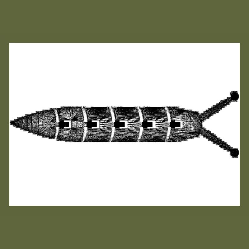 Kackschnecke