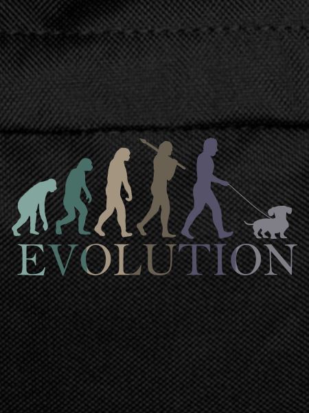 EVOLUTION DES RETRO-DACKELS