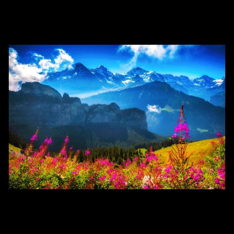 SOMMER ALPEN