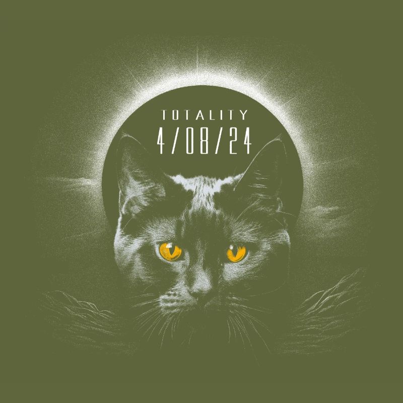 Cute Black Cat with Total Solar Eclipse 2024