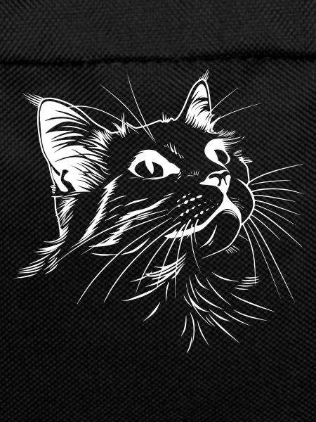 Cat, Cat Motif, Cat Face
