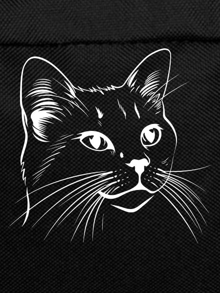 Cat, Cat Motif, Cat Face