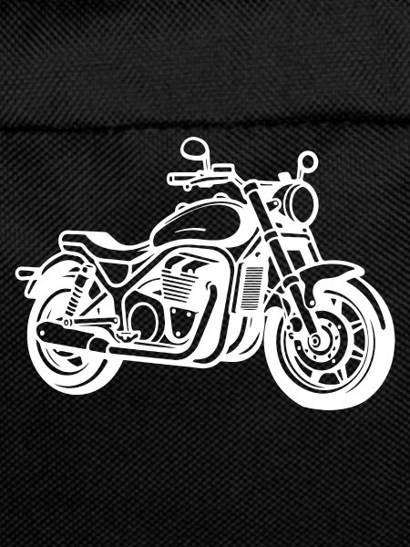 Motorcycle Biker