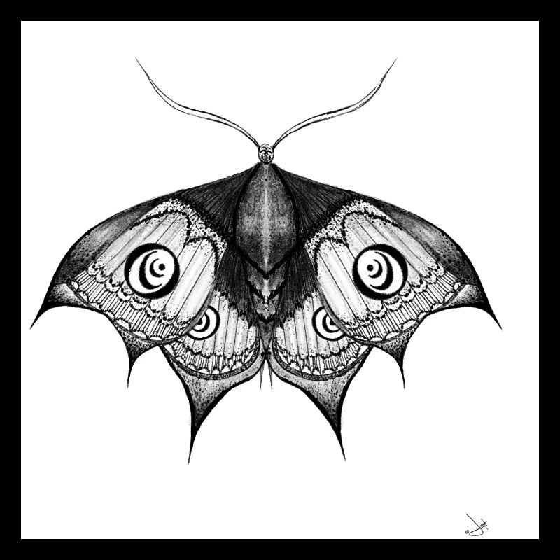 Grain d’encre noir