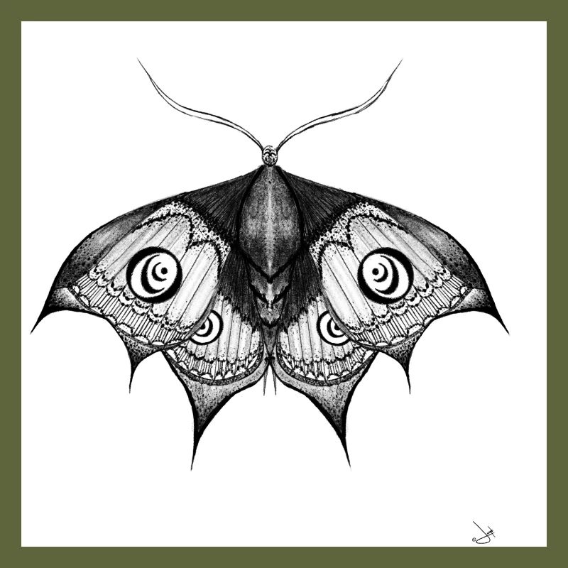 Ink Moth Black