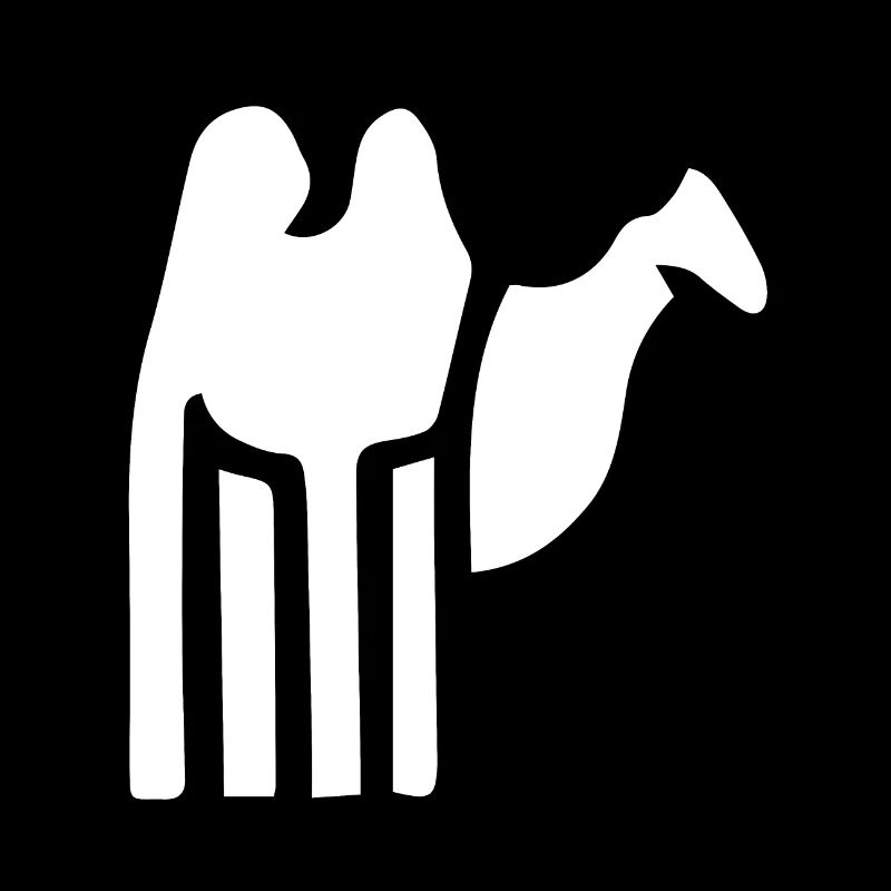 Cute camel illustration!