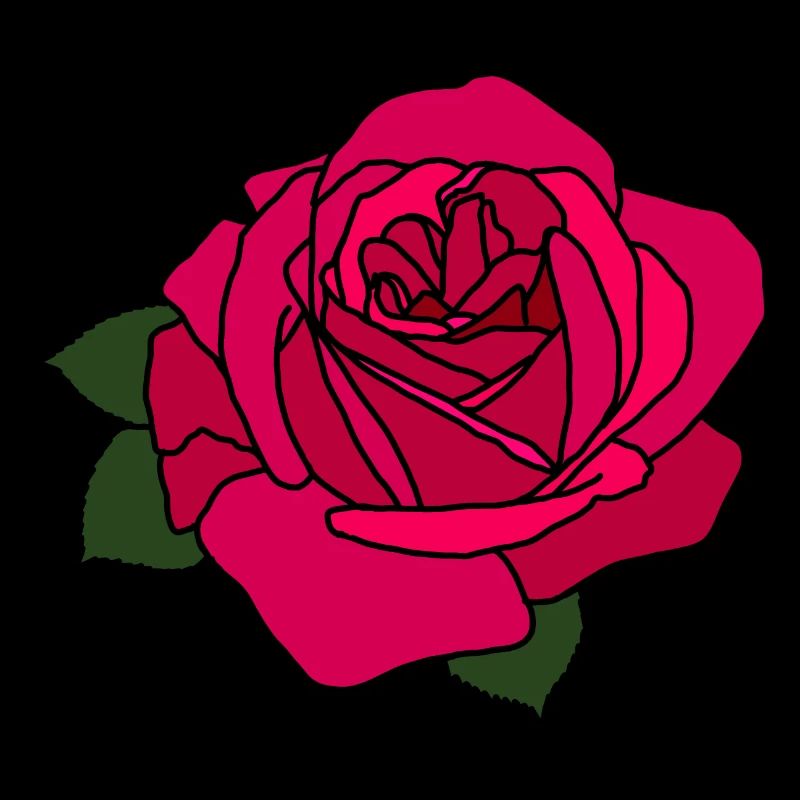 Pink Rose