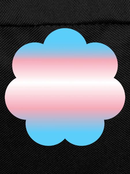 Subtle Transgender Pride