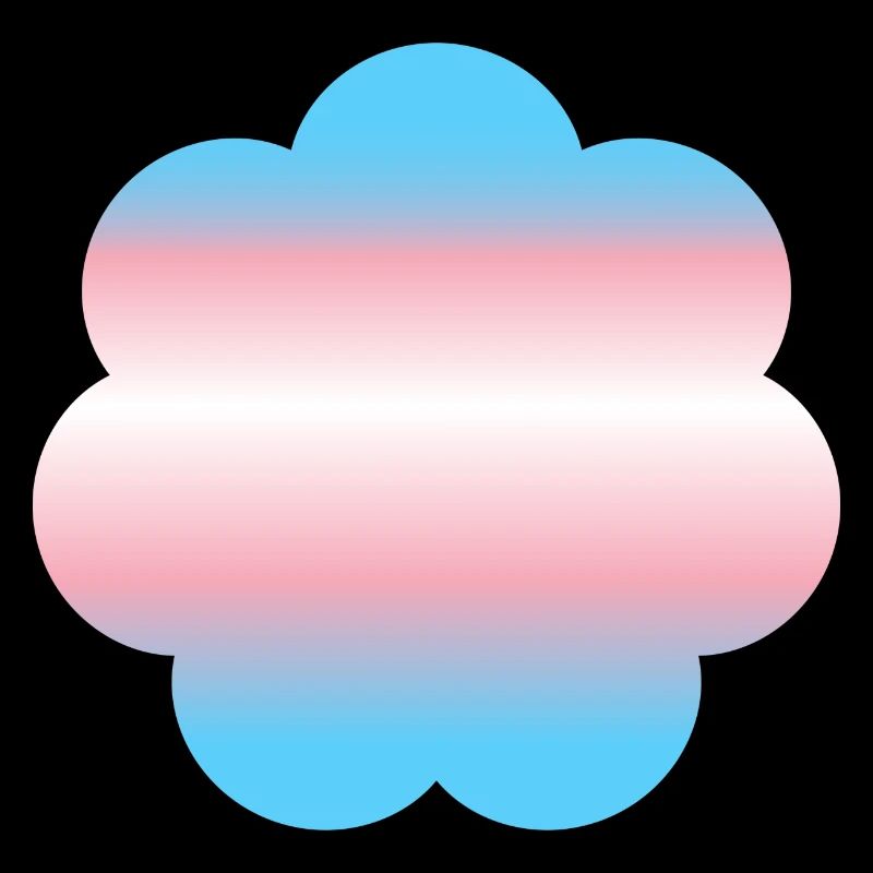 Fierté transgenre subtile