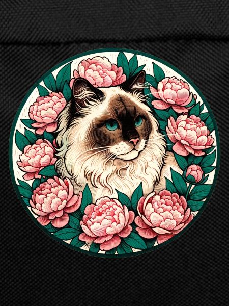 Ragdoll Breed Cat