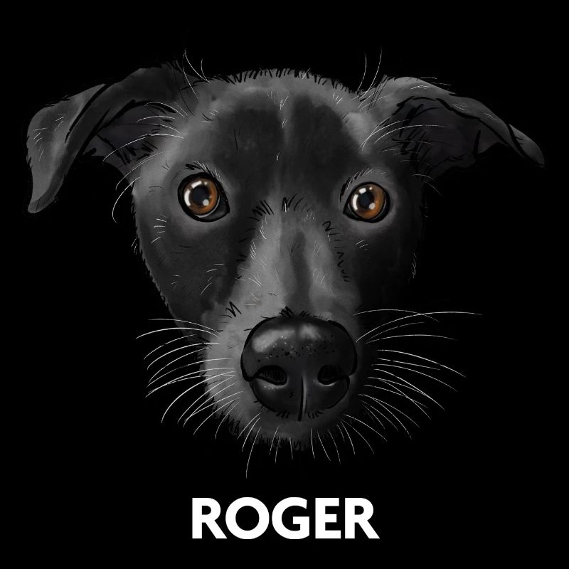 Roger 2