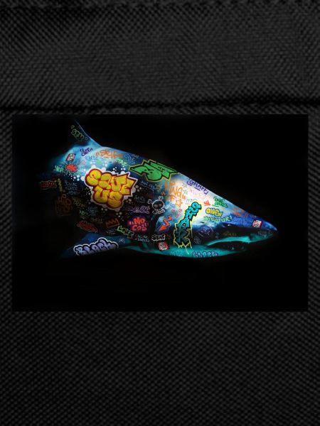 Graffiti Requin by Blach®