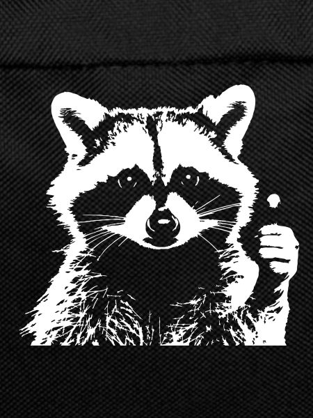 raccoon