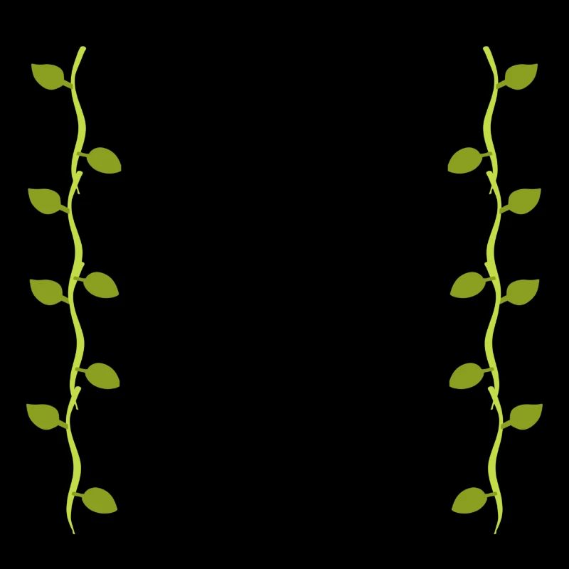 Leaves Line Nature Leaf Branches