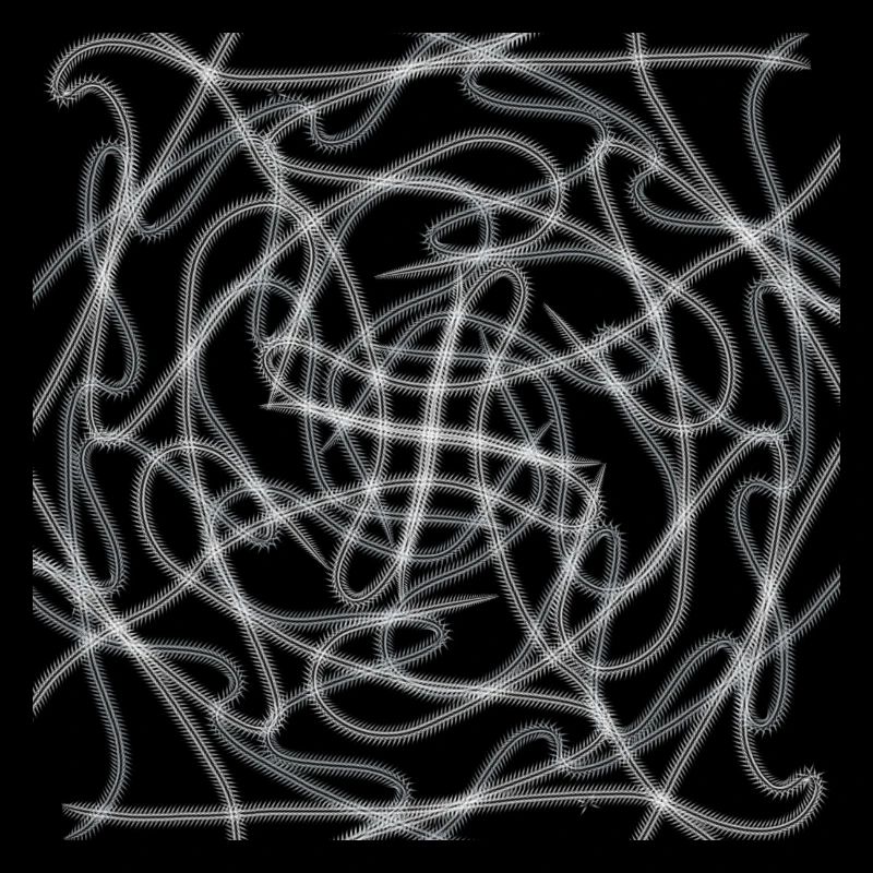 Black and White Abstract Design