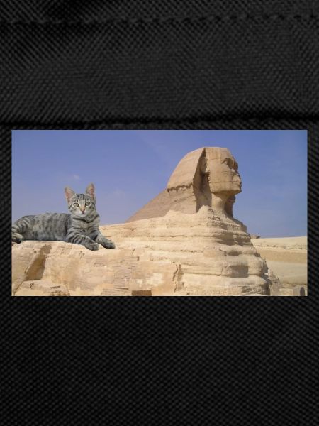 Cat and Sphinx