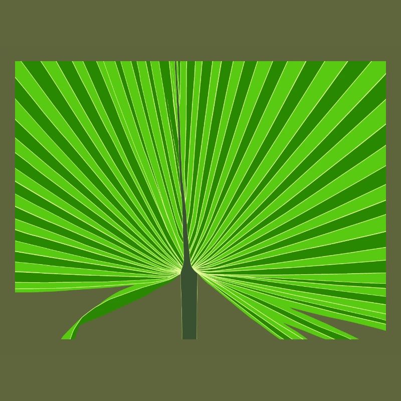 Tropical palm tree