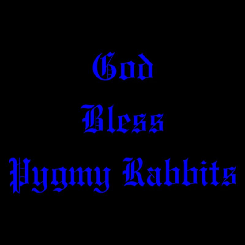 GodBlessPygmyRabbits