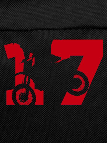 Moto 17 biker