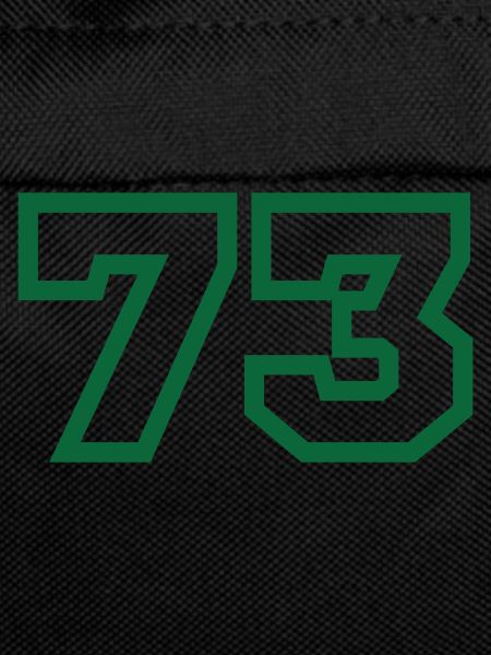 Number 73 sport