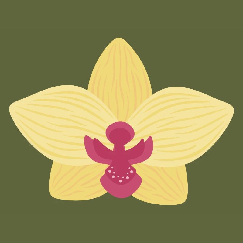 Yellow Orchid