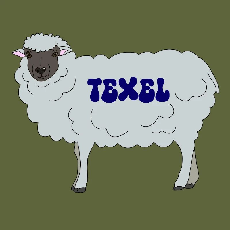 Mouton Texel