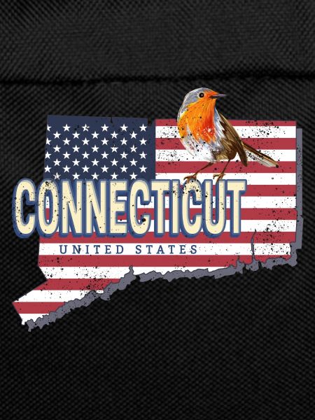 Connecticut United States Retro Map