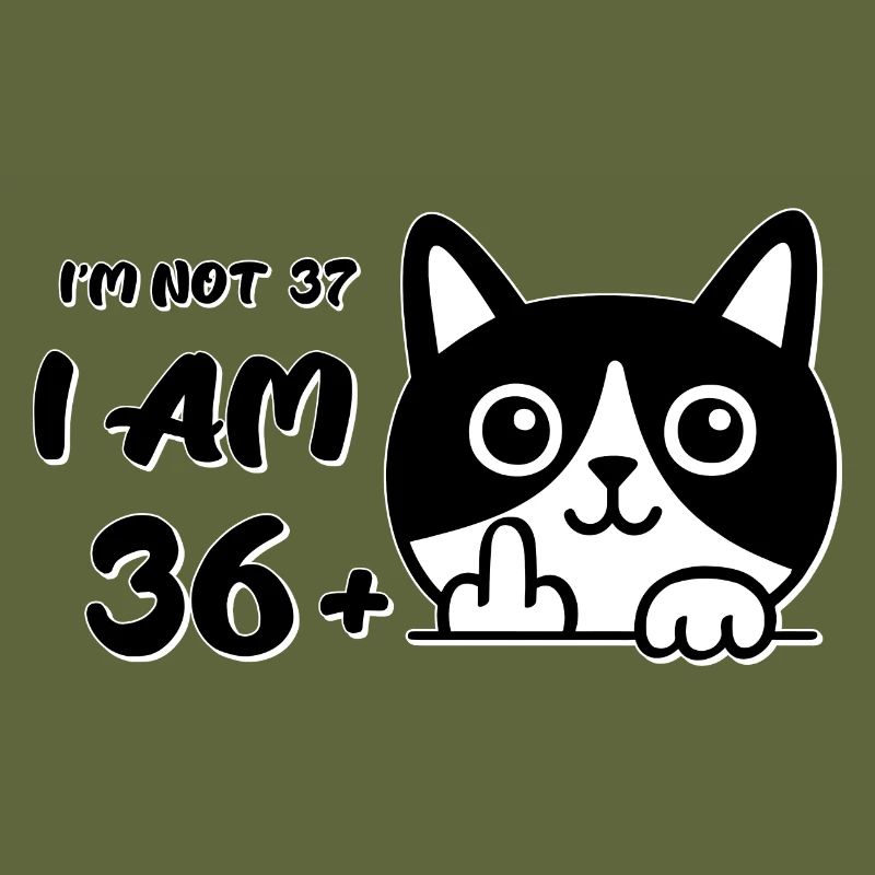 I'm Not 37, I Am 36 Plus 1 Middle Finger Cat Flip