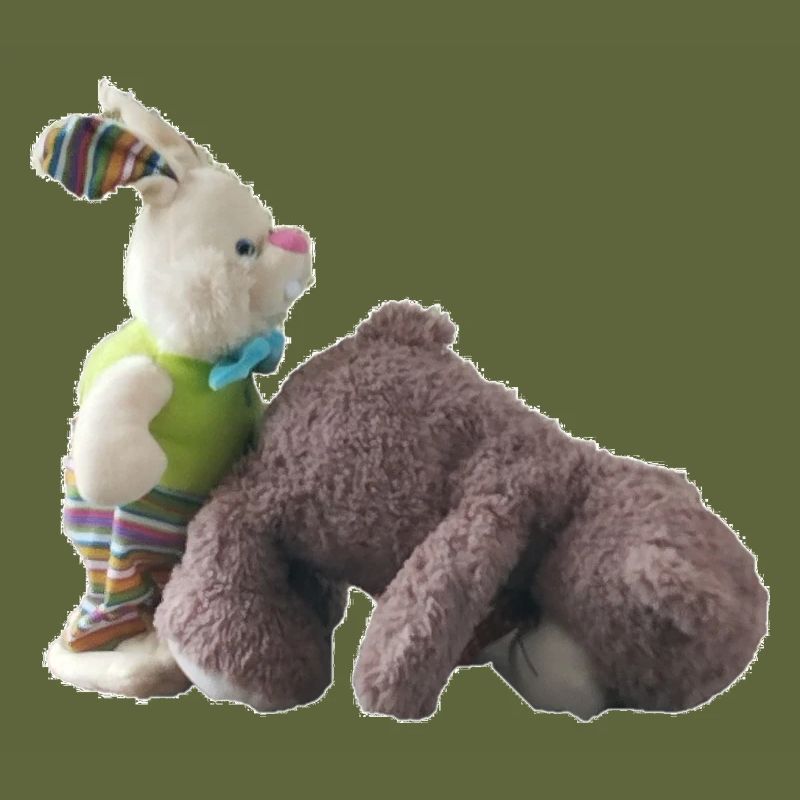 Teddy Bear Bunny