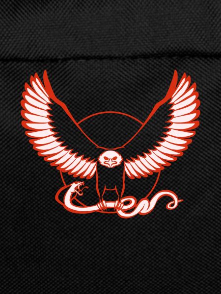 Eagleand Snake
