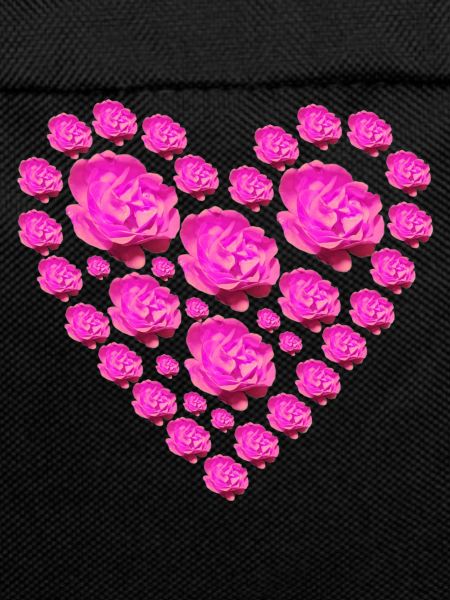 pink roses heart
