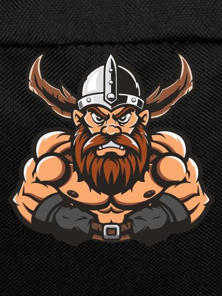 Viking Comic