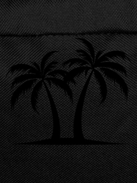 Palm Island