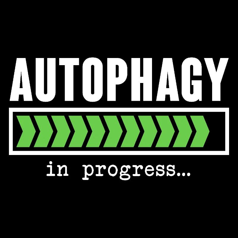 Autophagy In Progress Cell Renewing Intermittent