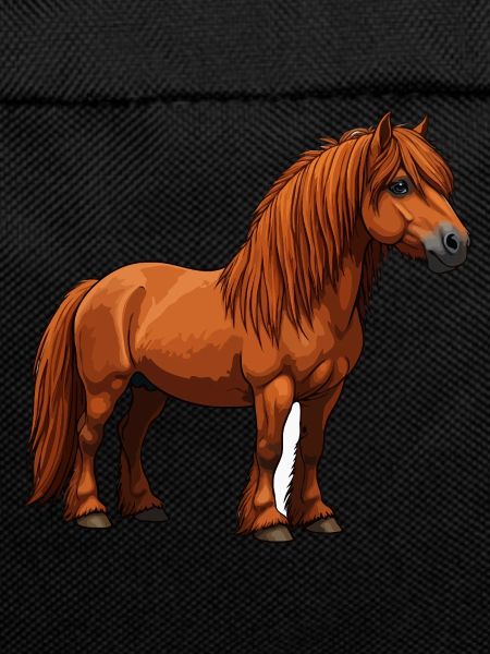 Highland Pony reel