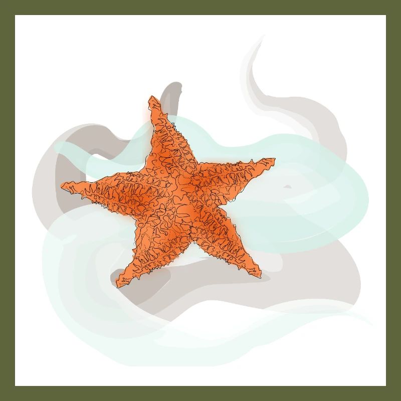 Starfish