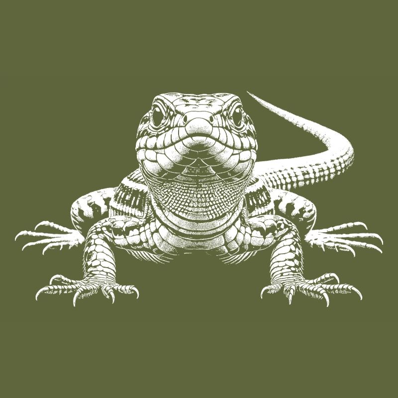 Lizard