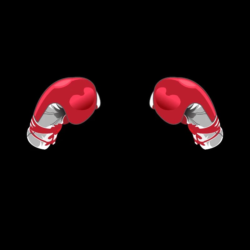 Zukunft Boxer