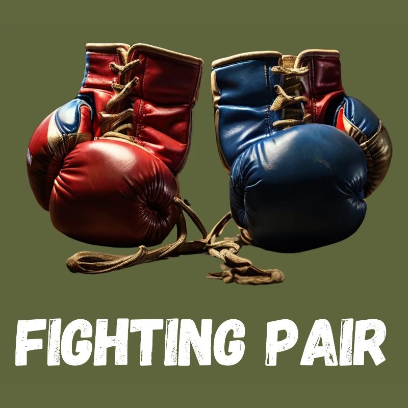 Fighting Pair Boxing Lovers