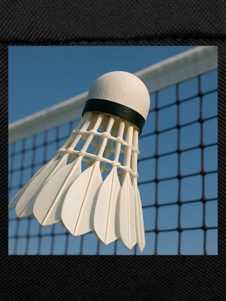 Sport - Badminton