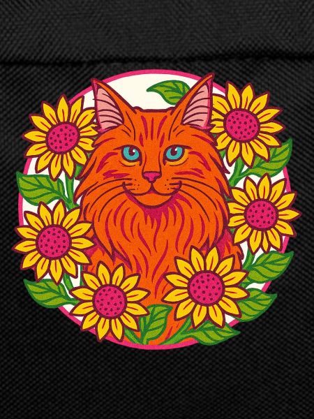 Chat Maine Coon