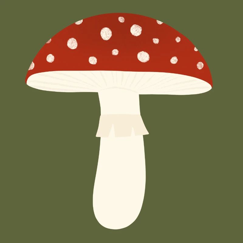 Toadstool Fly Agaric Mushroom