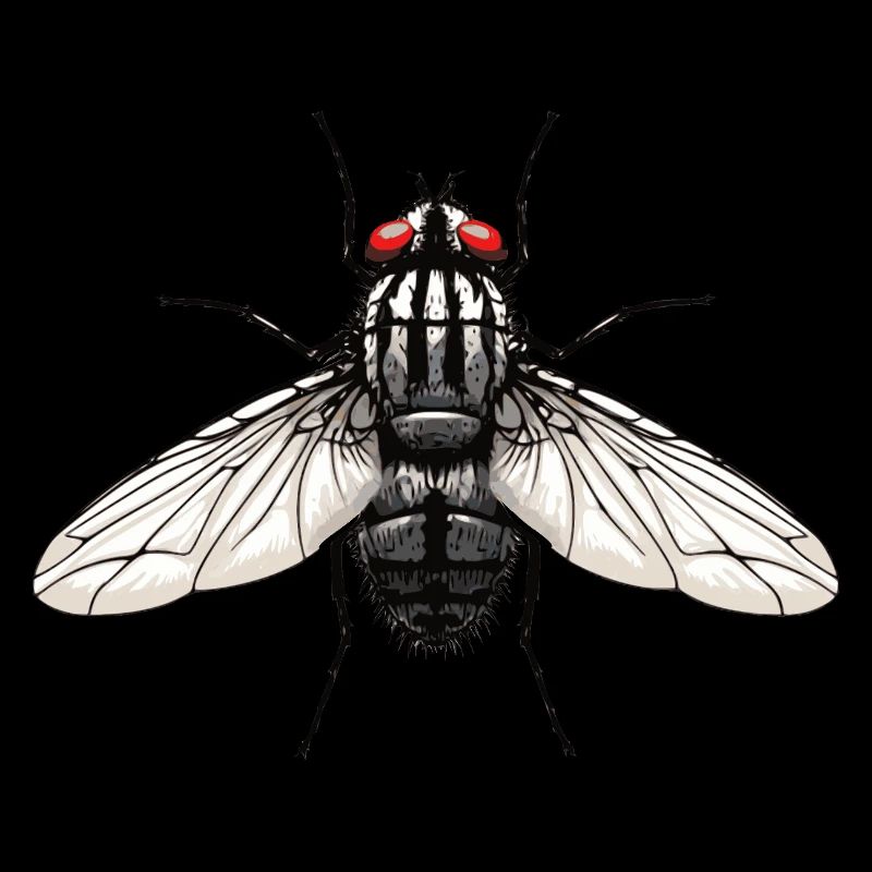 Fliege