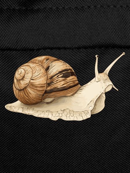 Snail