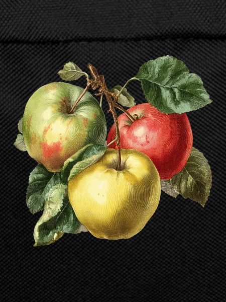 Apfel
