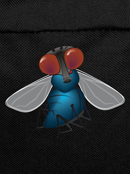 fliege