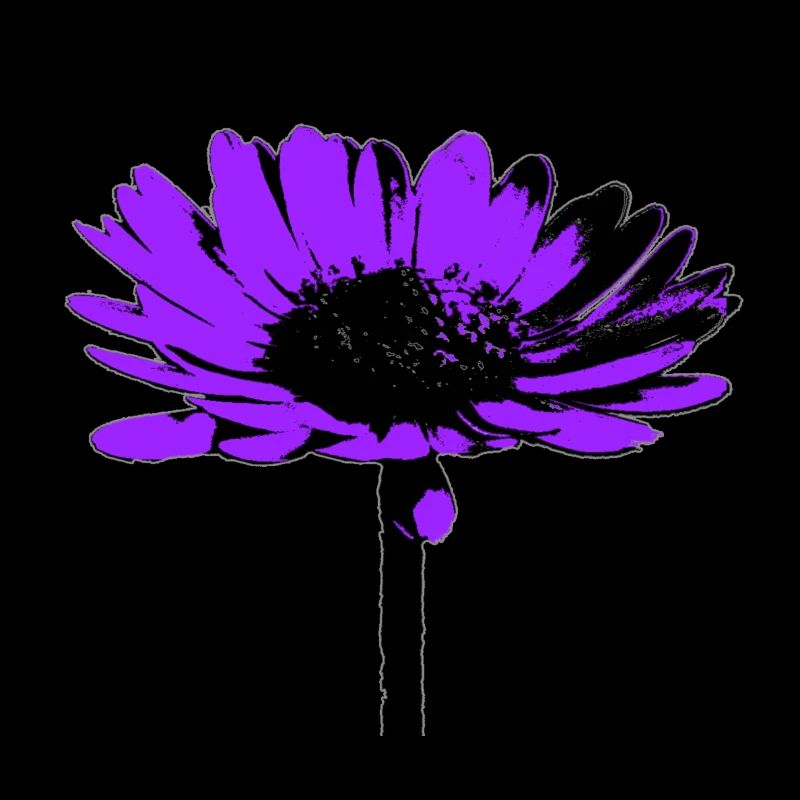 Blume