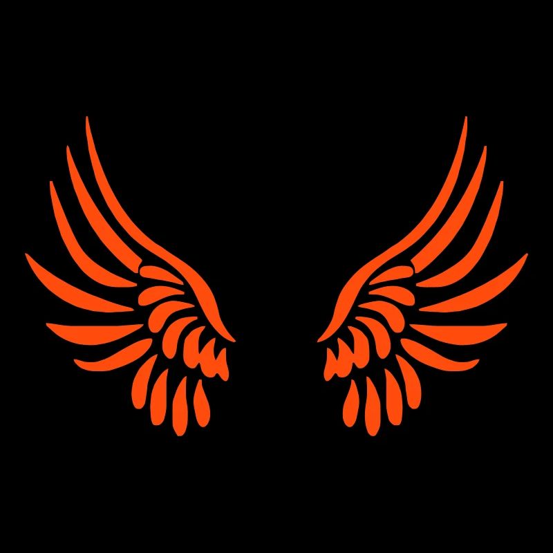 ailes d'ange