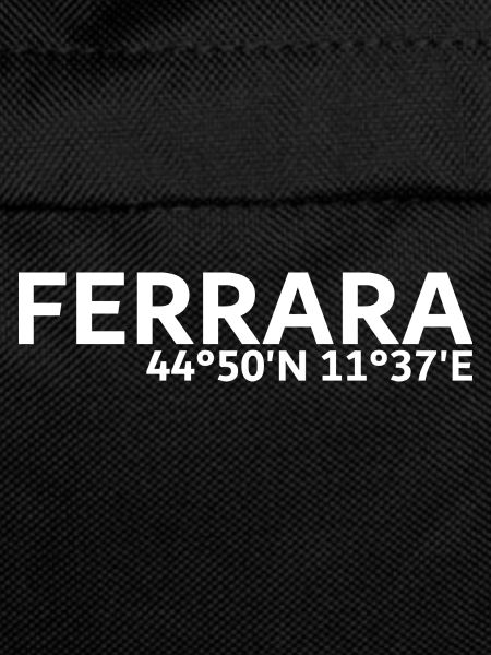 Ferrara coordinates